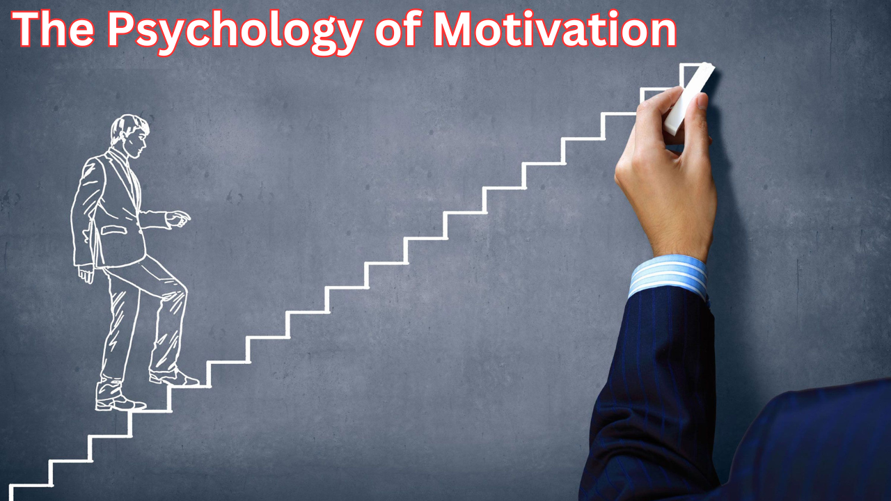 The Psychology of Motivation: What Drives Human Behavior?